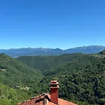 The Orange House